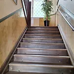 Rachmannova S Bazenem Novy Bor