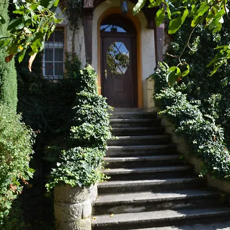 Rachmannova Villa Novy Bor
