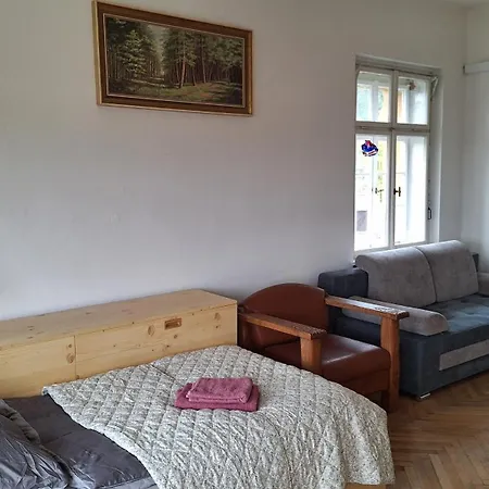 Rachmannova S Bazenem Villa *