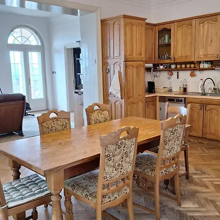 Rachmannova S Bazenem Villa *