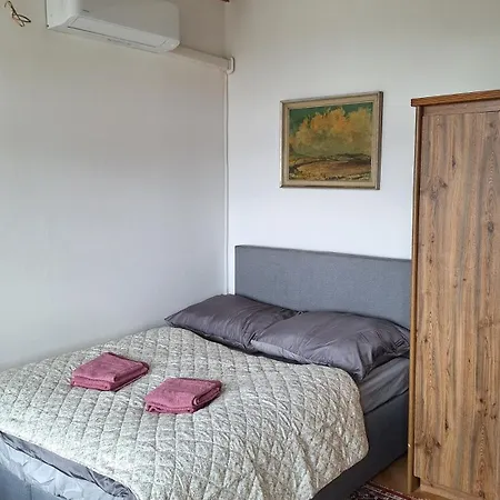 Rachmannova S Bazenem Villa Nový Bor