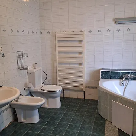 Rachmannova S Bazenem Villa *