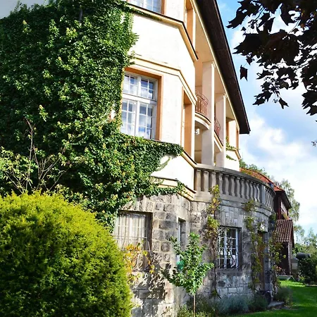 Rachmannova S Bazenem Villa *